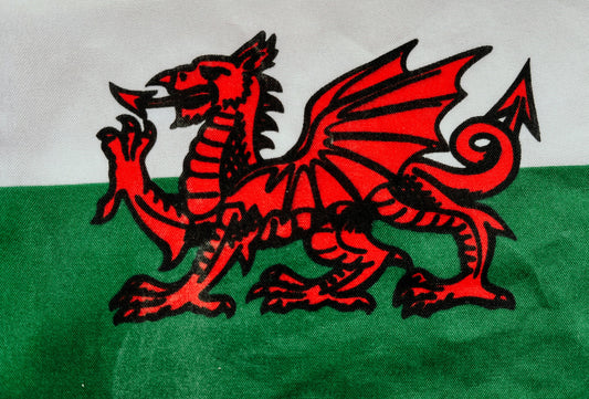 Celebrate St. David’s Day with YOSSO: Embrace the Spirit of Wales