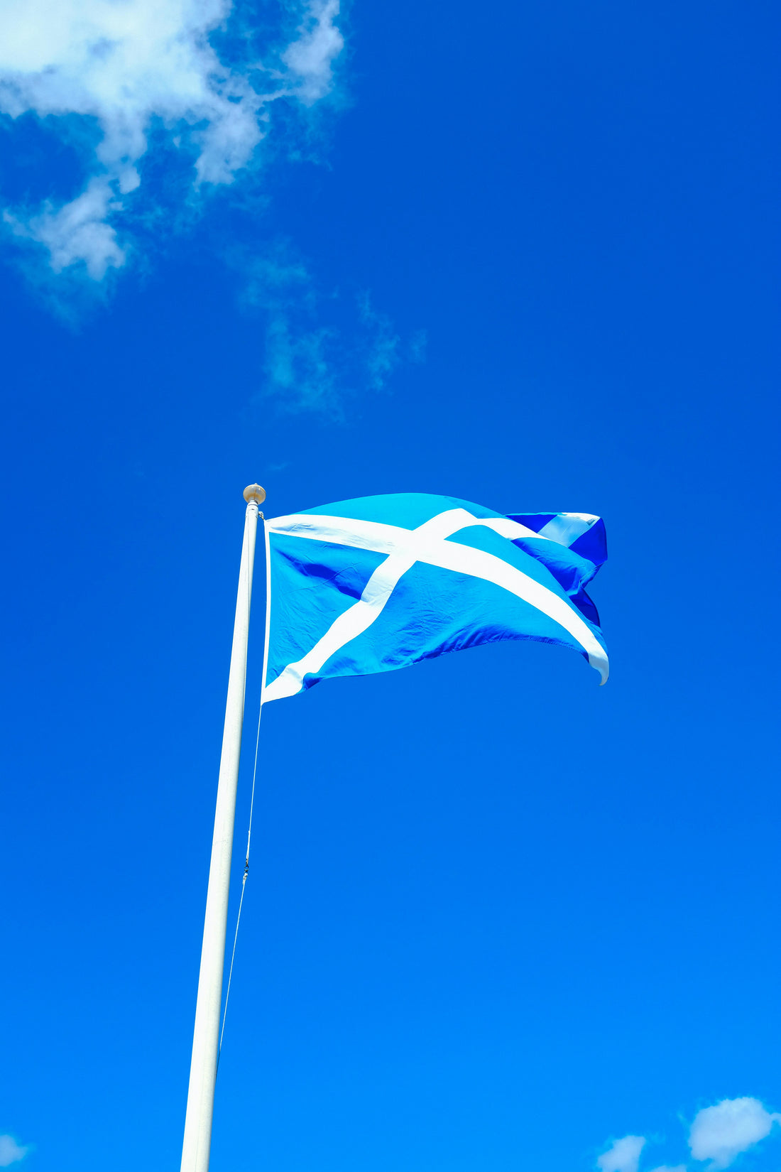 Celebrate St. Andrew’s Day with YOSSO: Honouring Scotland’s Patron Saint