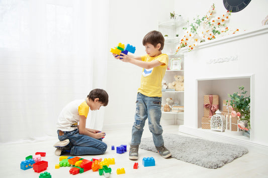 The Joy of Building: LEGO vs. Off-Brands – Does Price Define Fun?